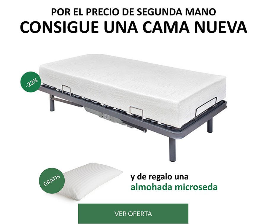 Cama Articulada Doble Segunda Mano