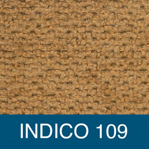 indico109