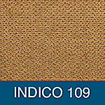 color indicio 109