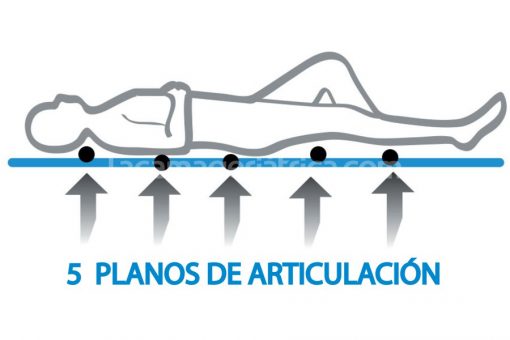 somier-5-planos-articulacion